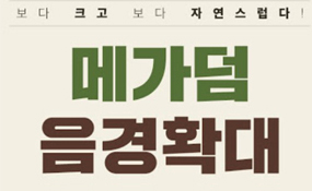 메가덤